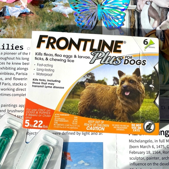 FRONTLINE Plus Small Dog Flea & Tick, 6 Treatments (5–22 lb) - Picture 1 of 7